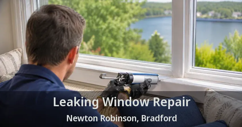 Leaking Window Repair Newton Robinson, Bradford - ON