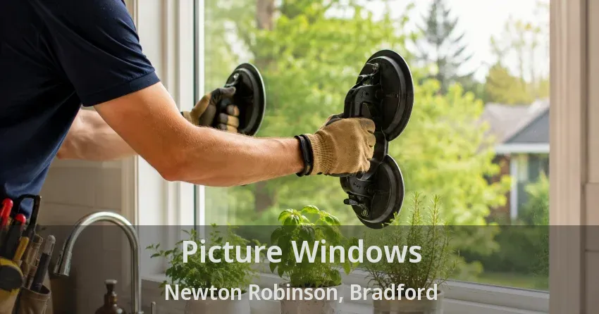 Picture Windows Newton Robinson, Bradford - ON