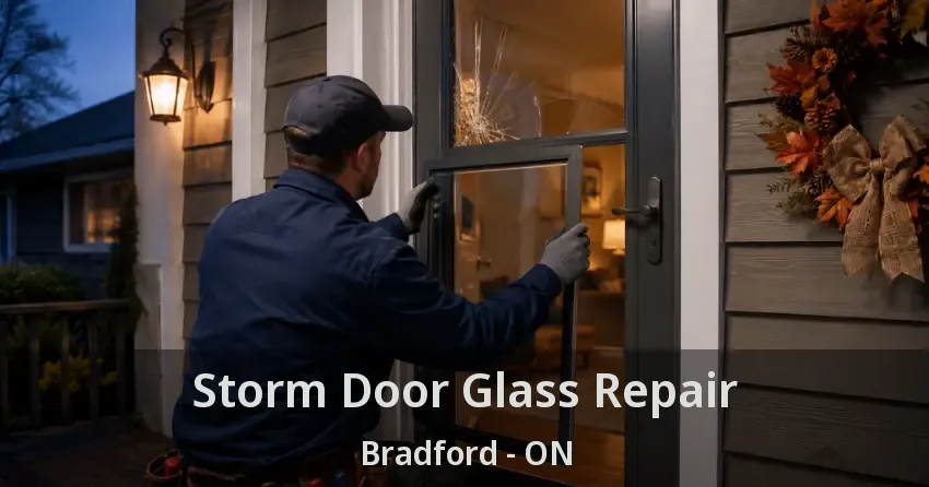 Storm Door Glass Repair Bradford - ON