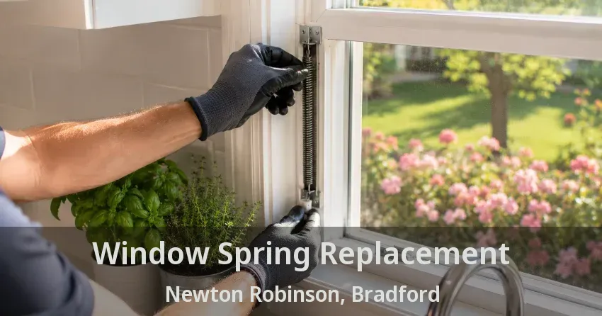Window Spring Replacement Newton Robinson, Bradford - ON